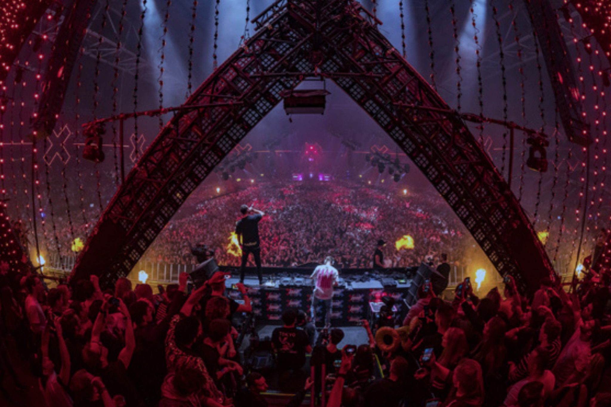 AMF 2019