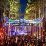 Electric Forest